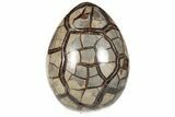 7.6" Septarian "Dragon Egg" Geode - Removable Section - #199993-1